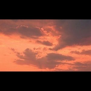 Meet your Posher, Patty